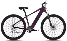 Elektrinis dviratis Tabou Blade UP ECO 29 black-purple-20"