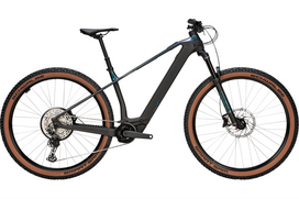 Dviratis 29" elektrinis carbon Bulls SONIC Eva SX 1 400WH UD/RAIN