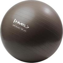 Gimnastikos kamuolys HMS YB02N 65 cm, grizzly