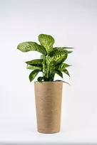 „Adoni“ boho stiliaus džiuto vazonas su įdėklu, 47 cm – rankų darbo (adoni47)