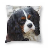 Cavalier King Charles Spaniel Pillowcase Polyester Linen Velvet Printed Zip Decorative Throw Pillow Case Home Cushion Cover Peach skin 18*18(CM)-1Pcs