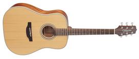 Akustinė gitara Takamine GD20-NS natūrali matinė