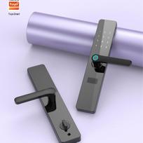 Tuya Smart WiFi/Zigbee Fingerprint Lock: One-Grip Open, Password, Card Swipe, Key, and App Control 24*240 lock body