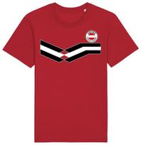 Austria Strip T-Shirt 2024, Adults Kids Baby Family, Football Euro Shipping L