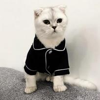 Kalėdiniai naminių kačių kostiumai katėms Žieminiai Kedi Katten Sphynx megztiniai Hoodie Kostiumas Mascotas Drabužiai Ropa Para Gato XS（old） juoda