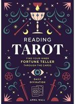 Weiser Books Reading Tarot Knyga Insight Edition