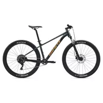 None Dviratis GIANT Talon 2, 29" asfaltinis žalias, L,