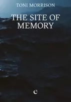 KNYGA Bookshop Morrison Toni Site of Memory