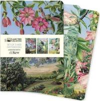 KNYGA „Flame Tree Studio Kew Gardens“: Marianne North, 3 MIDI užrašų knygelių rinkinys
