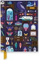 „Flame Tree Studio“ Jenny Zemanek: Įdomybių kabinetas (blizgus žurnalas)