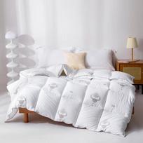 Muji Winter Duck Down Comforter