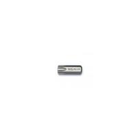 Antgalis TORX 30mm ilgio T-55 (6255, GENIUS)
