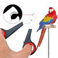 12cm naminių paukščių papūgų nagų žirklės šunų kačių nagų pirštų įrankis triušio kojų nagų žoliapjovė kirpimo priemonė pėdos pjoviklis paukščio nagų žirklės įrankis juoda
