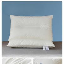 Pillow Core Household Cervical Vertebra Support Sleep Aid Pair Set Student Dormitory Super Soft Low Pillow Special gray