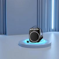 SHIDU S308 Portable Voice Amplifier CN plug (adapter included)