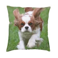 Cavalier King Charles Spaniel Luxury Pillow Cover, Double Sided Print Dog Cushion For Sofa Chair Home Decor Peach skin 18*18(CM)-1Pcs