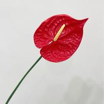 Didelis raudonas anturis (simuliacija), dekoratyvinė gėlė flamingų palmių stiebe namams ar vestuvėms red