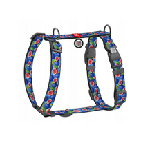 Petnešos šunims Waudog QR, mėlyna sp., 460 - 600 mm x 20 mm, M