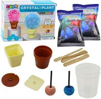 Edukacinis kristalų auginimo rinkinys "Crystal Plant"