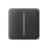 SoloButton (2-gang) Graphite, AJAX