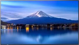 Sharp MultiSync P556 Large Format Monitor - 55-inch UHD, 700 cd/m2, 24/7 Operation