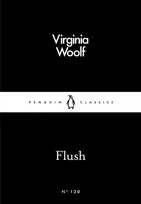 KNYGA Virginia Woolf Nuplaukite