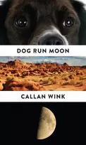KNYGA Callan Wink Dog Run Moon
