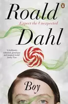 KNYGA Roald Dahl Boy