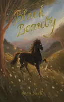 KNYGA Anna Sewell Juodas Beauty
