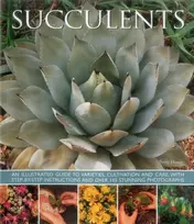 KNYGA Terry Hewitt Succulents