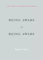KNYGA Rupert Spira Being Aware of Being Aware