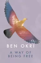 KNYGA Ben Okri Way of Being Free