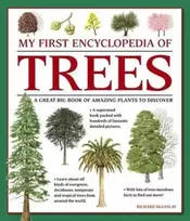 KNYGA Richard Mcginlay My First Encyclopedia of Trees (giant Size)