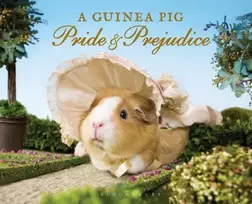 KNYGA Jane Austen Guinea Pig Pride & Prejudice