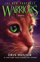 KNYGA Erin Hunter DAWN