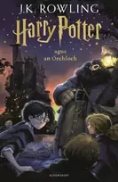 KNYGA J K Rowling Harry Potter and the Philosopher's Stone (Irish)
