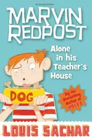 KNYGA Louis Sachar Alone in His Teacher's House