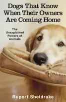 KNYGA Rupert Sheldrake Dogs That Know When Their Owners Are Coming Home