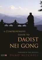 KNYGA Damo Mitchell Comprehensive Guide to Daoist Nei Gong