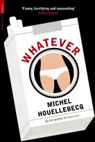 KNYGA Michel Houellebecq Nesvarbu