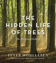 KNYGA Peter Wohlleben Hidden Life of Trees
