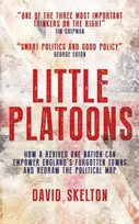 KNYGA David Skelton Little Platoons