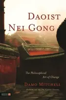 KNYGA Damo Mitchell Daoist Nei Gong