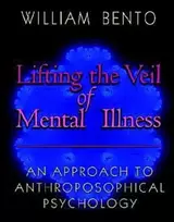 KNYGA W Bento Lifting the Veil of Mental Illness