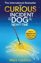 KNYGA Mark Haddon Curious Incident of the Dog In the Night-time