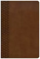 KNYGA C. S. B. Bibles CSB Bibles by Holman CSB Everyday Study Bible, British Tan LeatherTouch