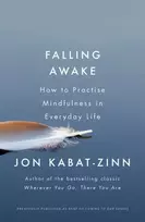 KNYGA Jon Kabat Zinn Falling Awake