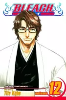 KNYGA Tite Kubo Bleach, Vol. 12
