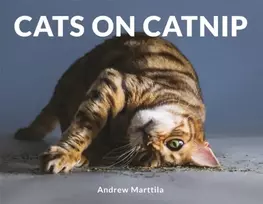 KNYGA Andrew Marttila Cats on Catnip