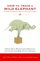 KNYGA Jan Chozen Bays How to Train a Wild Elephant